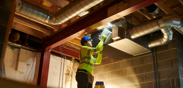 Best Ductwork Cleaning Services  in Cobden, IL
