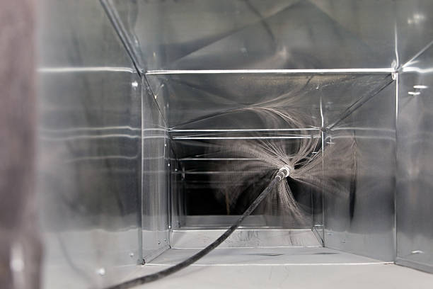 Best Duct Cleaning for Homes  in Cobden, IL