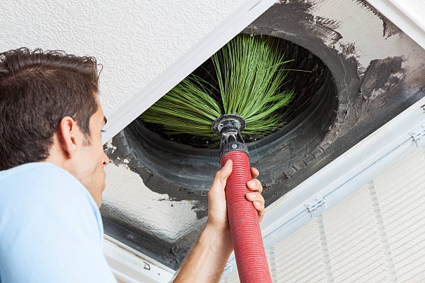 Best HVAC Duct Inspection Services  in Cobden, IL